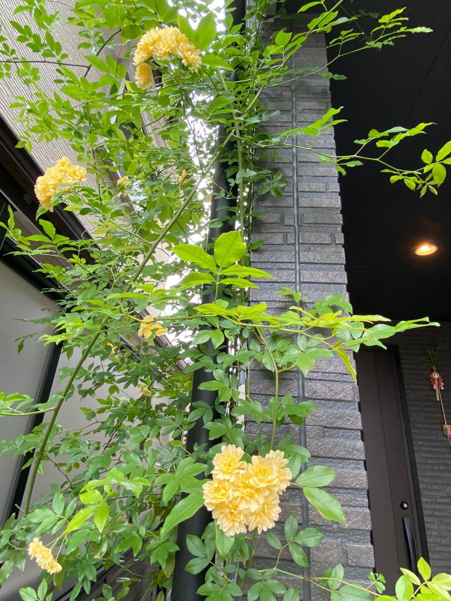 Hotel 遥華-Haruka House Kyōto Exterior foto