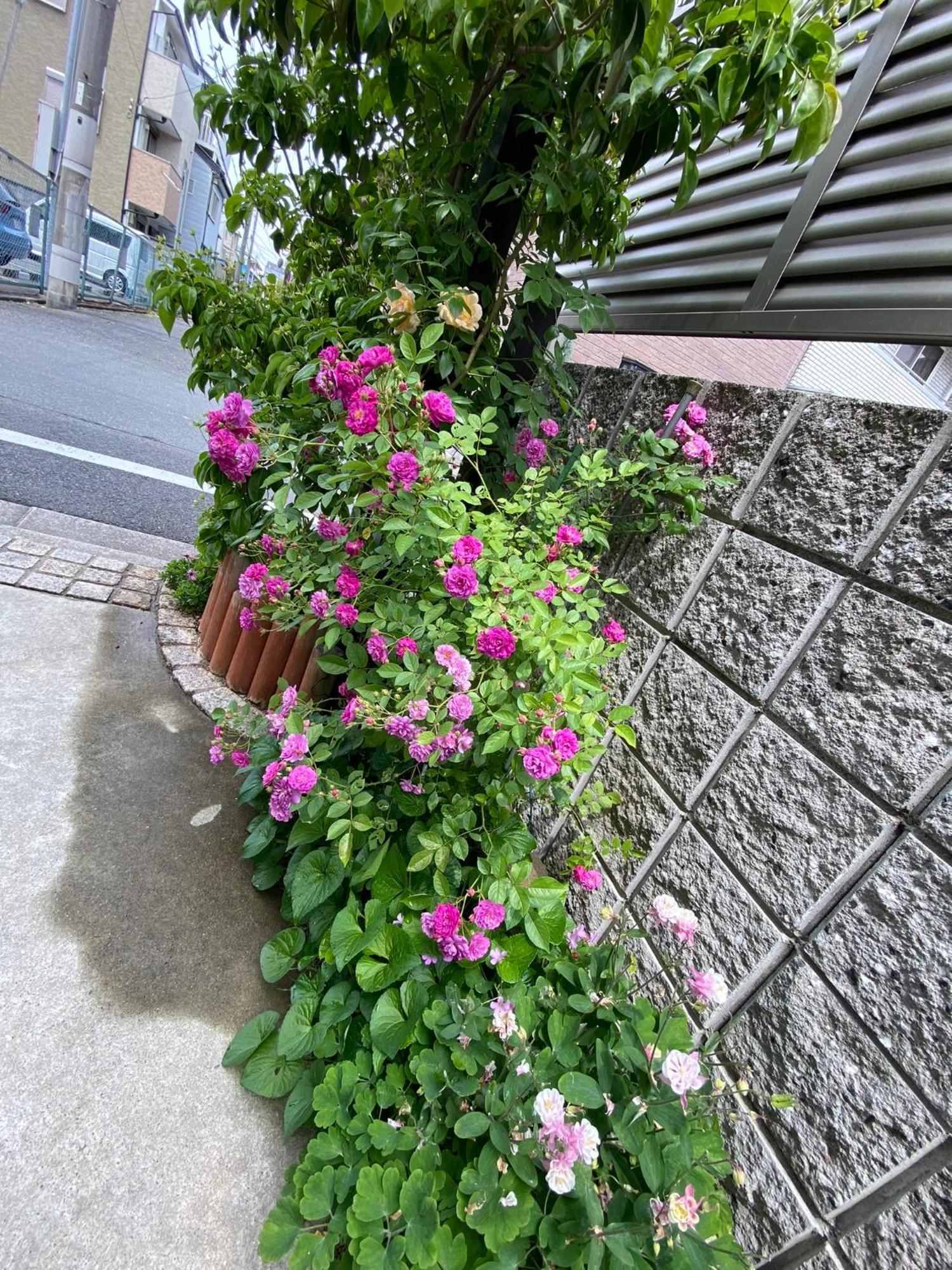 Hotel 遥華-Haruka House Kyōto Exterior foto